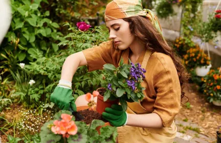 Gelatin Fertilizer – For Flowers and Beyond