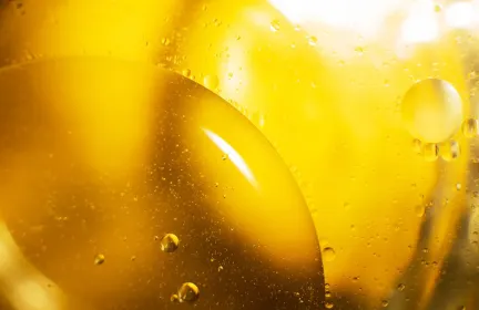 Ballistic Gelatin